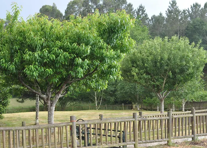 Eco Molino Rural Semesterbostad Abegondo